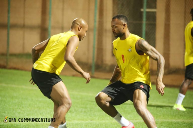Andre and Jordan Ayew