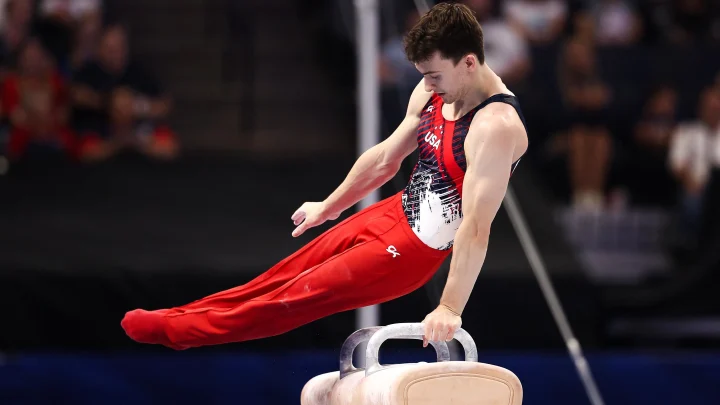 Why Is It Called a Pommel Horse and What Are Its Other Names?