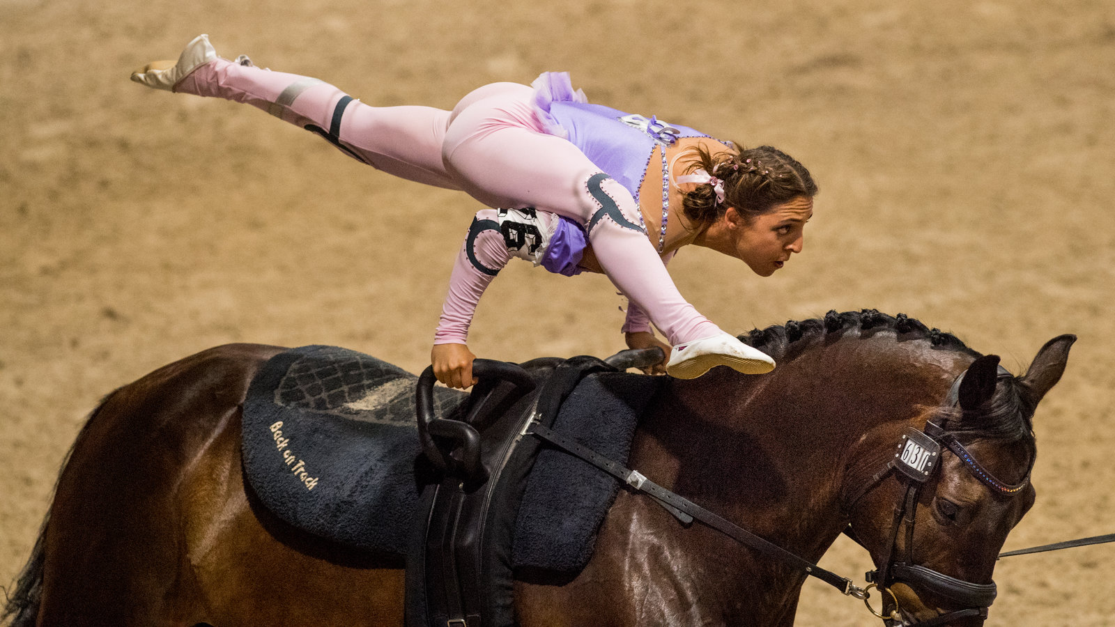 Pommel Horse vs. Vault Horse: Key Differences Explained