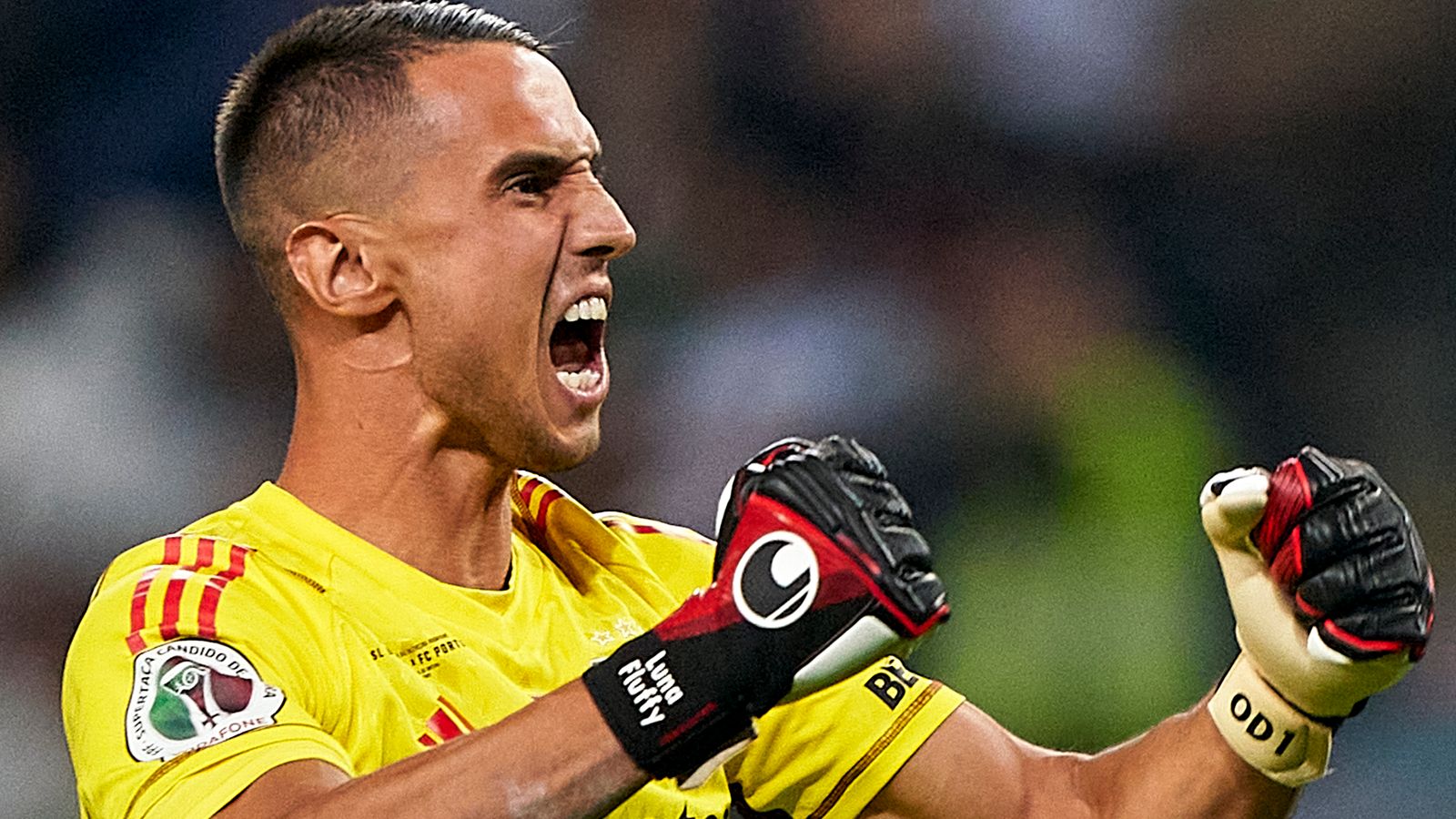 Newcastle United Sign Odysseas Vlachodimos