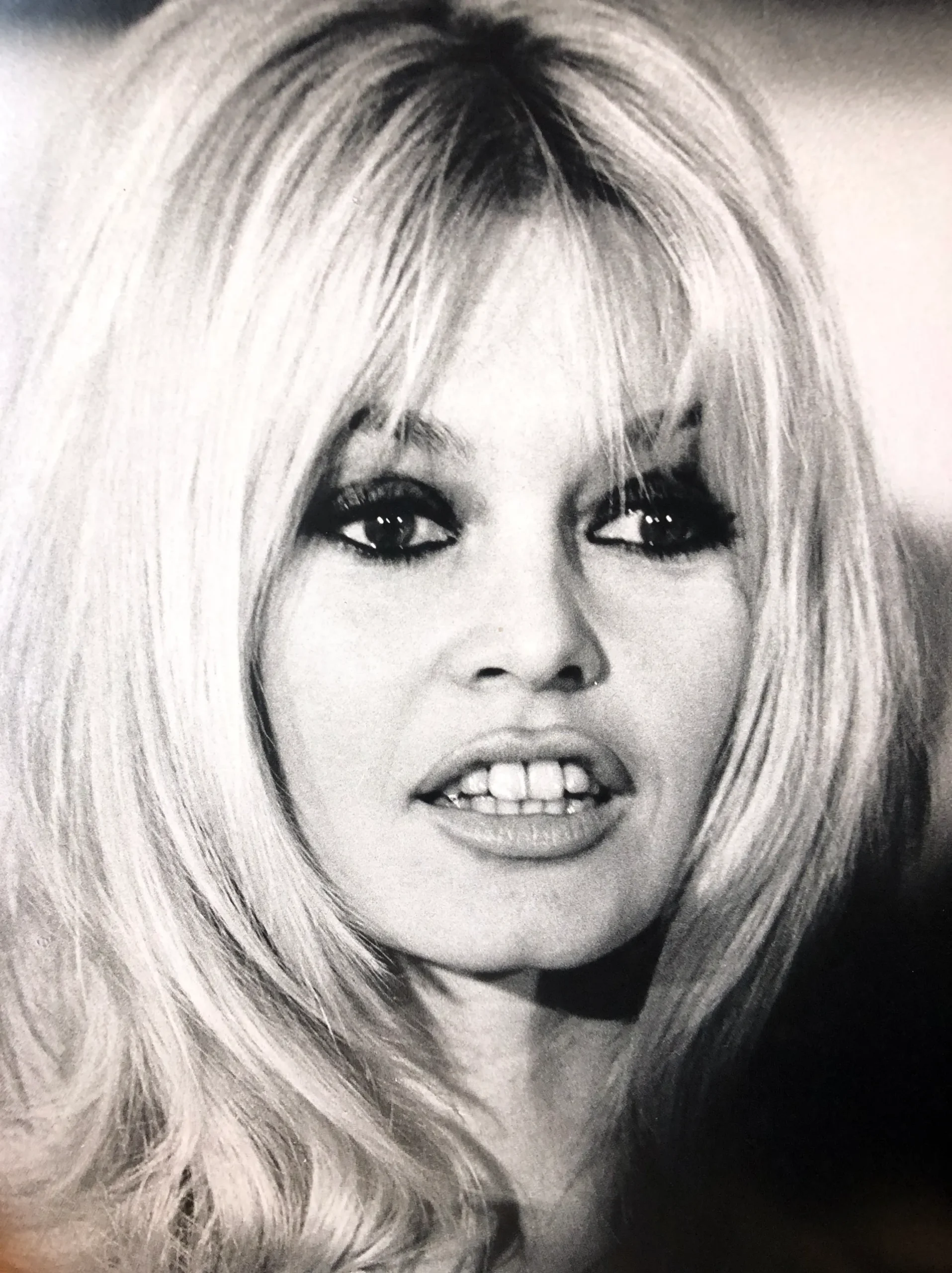 Brigitte Bardot Has Been Married Four Times: Meet Her Husbands Brigitte Bardot, Gunter Sachs, Jacques Charrier & Roger Vadim
