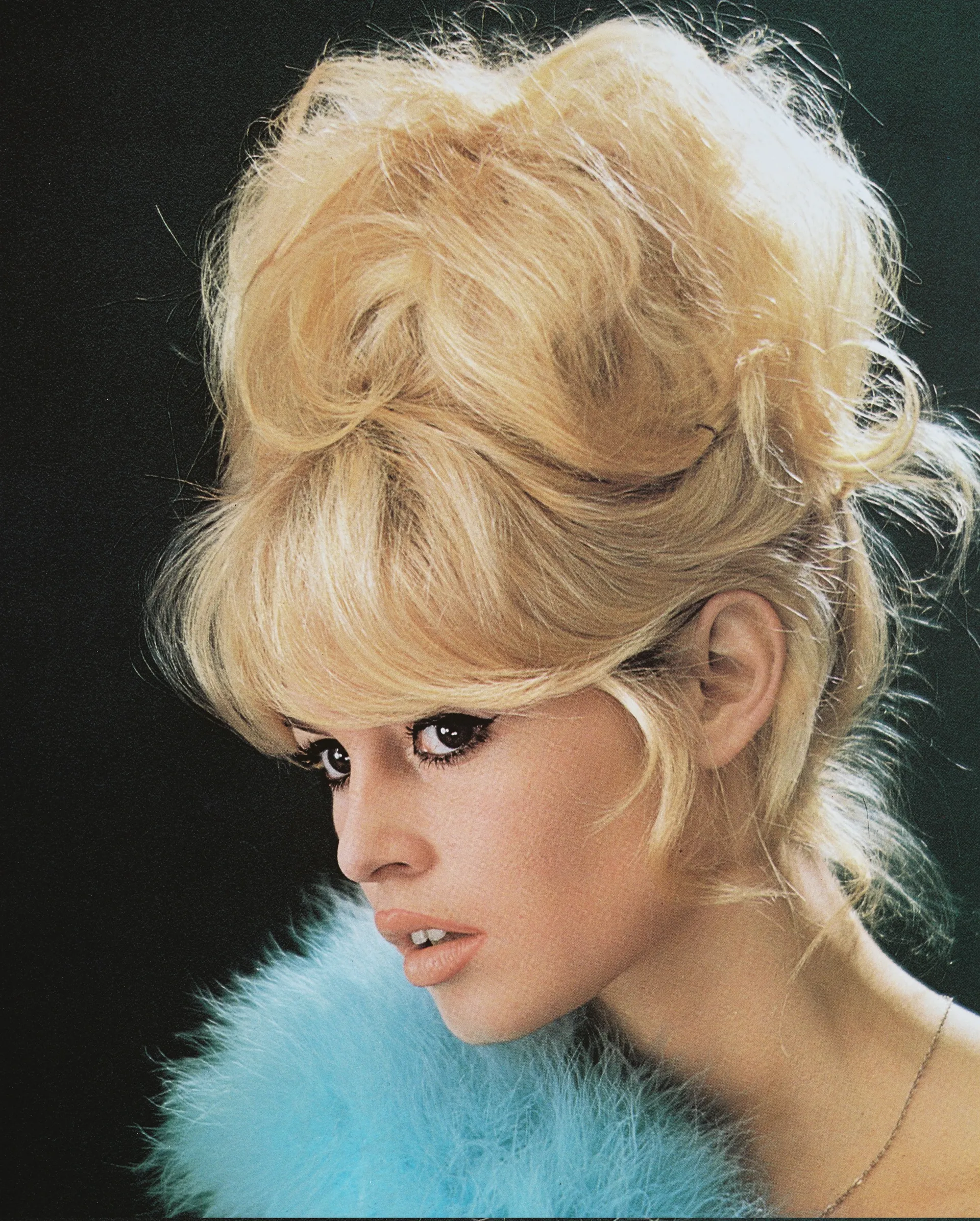 Is Pamela Bardot a Relative of Brigitte Bardot?